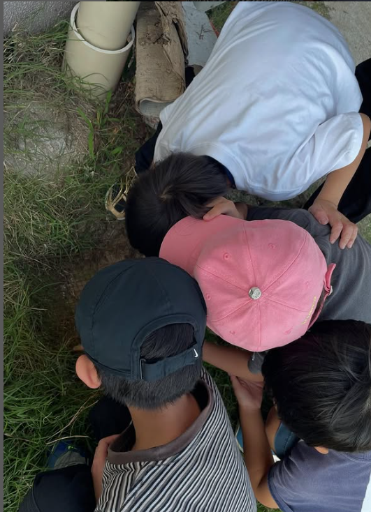 2025年6月の伍福会